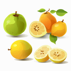Fototapeta na wymiar Add a burst of flavor to your designs with these quince vector illustrations.