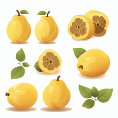 Create eye-catching designs with this set of quince vector images.