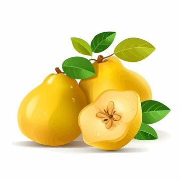 Create a fruity atmosphere with this set of quince vector illustrations.
