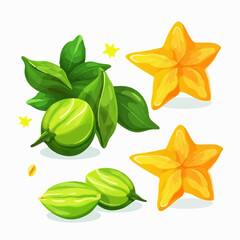 Fototapeta premium Bring a taste of the tropics to your projects with these star-fruit vector images.