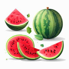 A colorful watermelon vector illustration, great for adding a touch of freshness to your projects.