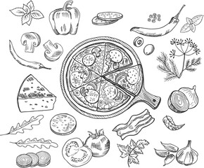 Italian pizza doodle ingredients. Pizzeria food elements sketch, tomato pepperoni cheese mushrooms sliced olives doodles vector illustrations - obrazy, fototapety, plakaty