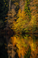 Autumn view of the lake