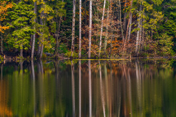 Autumn view of the lake