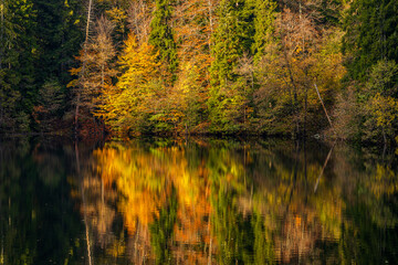 Autumn view of the lake