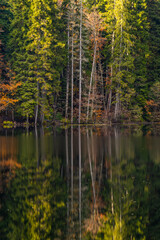 Autumn view of the lake