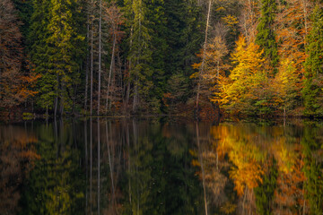 Autumn view of the lake