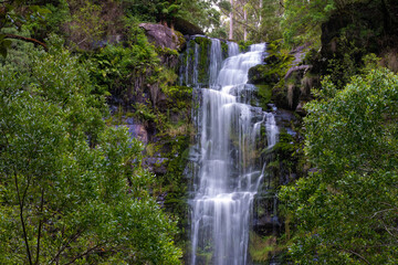 Fototapeta na wymiar Beauchamp Falls, Great Otway National Park, Great Ocean Road, Victoria, Australia