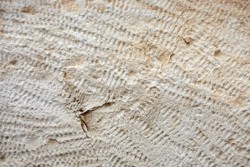 texture of natural natural stone closeup