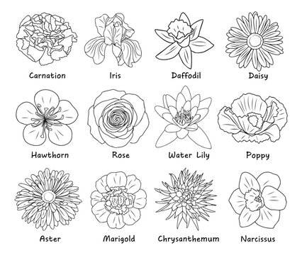 Set of flower silhouette vector illustrations. Snowdrop, daffodil, daisy,  rose, poppy, chrysanthemum, cosmos hand drawn monochrome sketch. Birth  month flowers for jewelry, tattoo, logo, wall arts. Stock Vector
