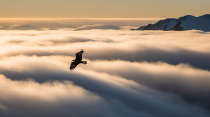 Fototapeta premium Eagle in flight above the clouds, Generative Ai