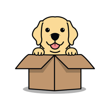 Cute labrador retriever puppy is in the box cartoon, vector illustration
