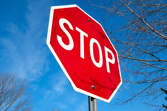 Stop sign from below with blue sky and branches 
