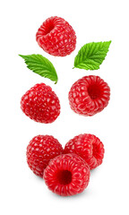 Levitation raspberries with leaves isolated on transparent background - obrazy, fototapety, plakaty