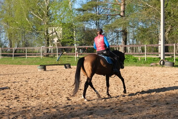 horse and rider