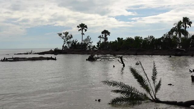 A view of Sundarban, the largest mangrove forest affected by cyclones and floods.
