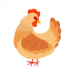 Chicken. Domestic birds. Cute animal. Livestock, animal, Farming. Farm. Vector illustration isolated on white background.