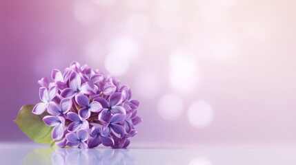Fototapeta na wymiar Lilac flower bokeh background. Illustration AI Generative