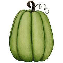 Watercolor hand drawn realistic pumpkin