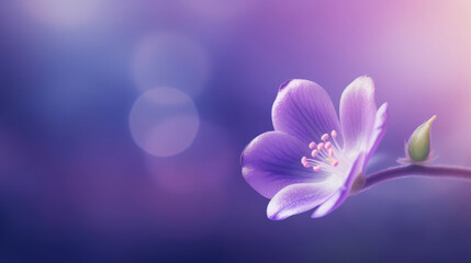 Obraz na płótnie Canvas Violet flower background. Illustration AI Generative