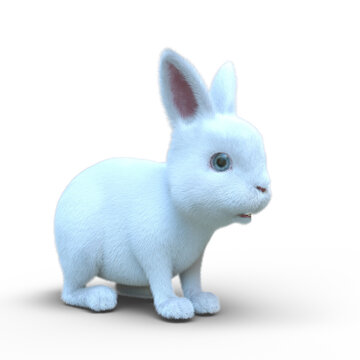 白ウサギ
