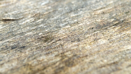 Close up low angle abstract object. suitable for background. perspective view