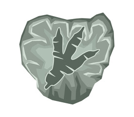 Archaeological fossil dig