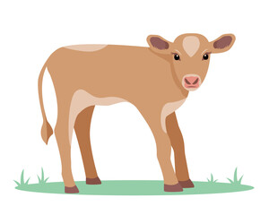 Calf icon. Baby cow. Best Beef Cattle Breed. Dairy cattle. Farm animal. Vector flat or cartoon illustration icon isolated on white backfround.