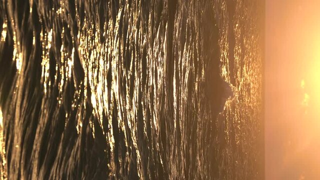 Picturesque seascape with small waves in golden sunset light, vertical video. Generative AI