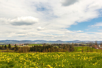 Fototapeta na wymiar Beautiful spring landscape in lower bavaria: View from Kellberg near Passau with a dandelion flower meadow in the foreground