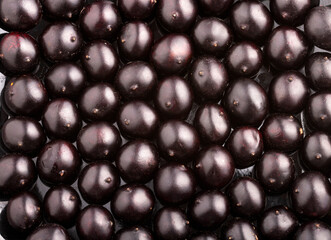 Organic amazonian acai berries - Euterpe oleracea