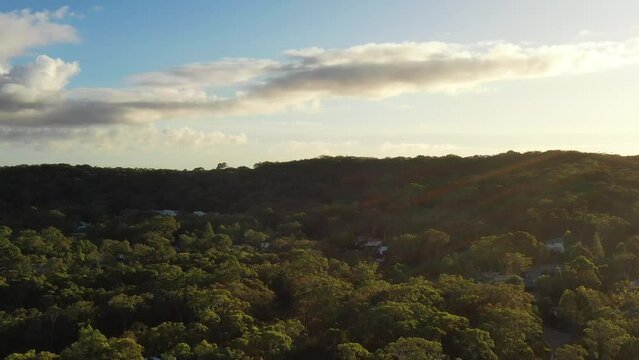 From gum-tree woods Murrays beach houses up to sky Pacific coast in 4k.
