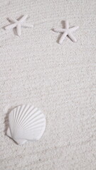 Sea shell and starfish on sand, summer beach background