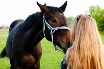 A brown horse in a bridle next to a blond woman. Farm lands.  Equestrian sports school.  Caring for...
