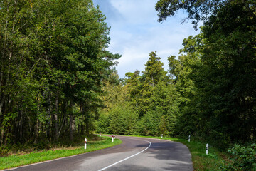 Empty wet two-lane asphalt road in summer green sunny forest after the rain. Left turn on road....