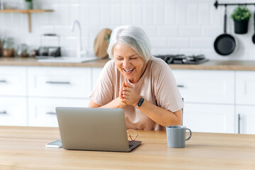 Excited mature modern caucasian gray haired woman, with glasses, sits at home kitchen at a table with laptop, works remotely on a project, manages finances, rejoices at result, is anticipating, smiles