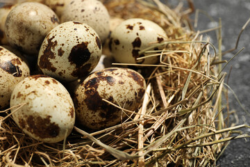 Nest with many speckled quail eggs on table, closeup