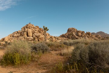 Joshua Tree National Park