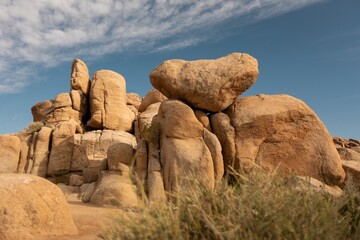 Joshua Tree National Park