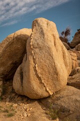 Joshua Tree National Park