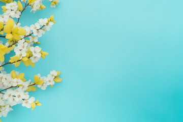 Spring flowers on blue yellow pastel background top view in flat lay style. AI generative
