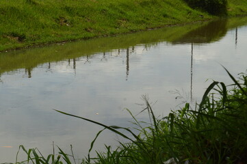 Large ditches that are flooded with water, canals for draining sewage or rainwater.