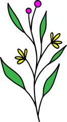 Fototapeta na wymiar floral draw, illustration, nature, floral, design, flower, leaf, spring, summer