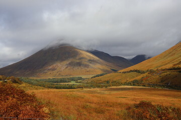 Fototapeta premium landscape in autumn
