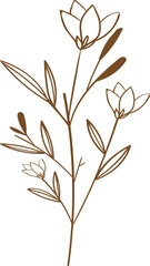 floral outline, illustration, nature, floral, design, flower, leaf, spring, summer