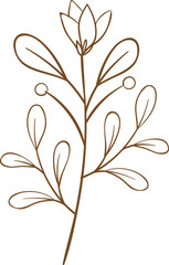 floral outline, illustration, nature, floral, design, flower, leaf, spring, summer