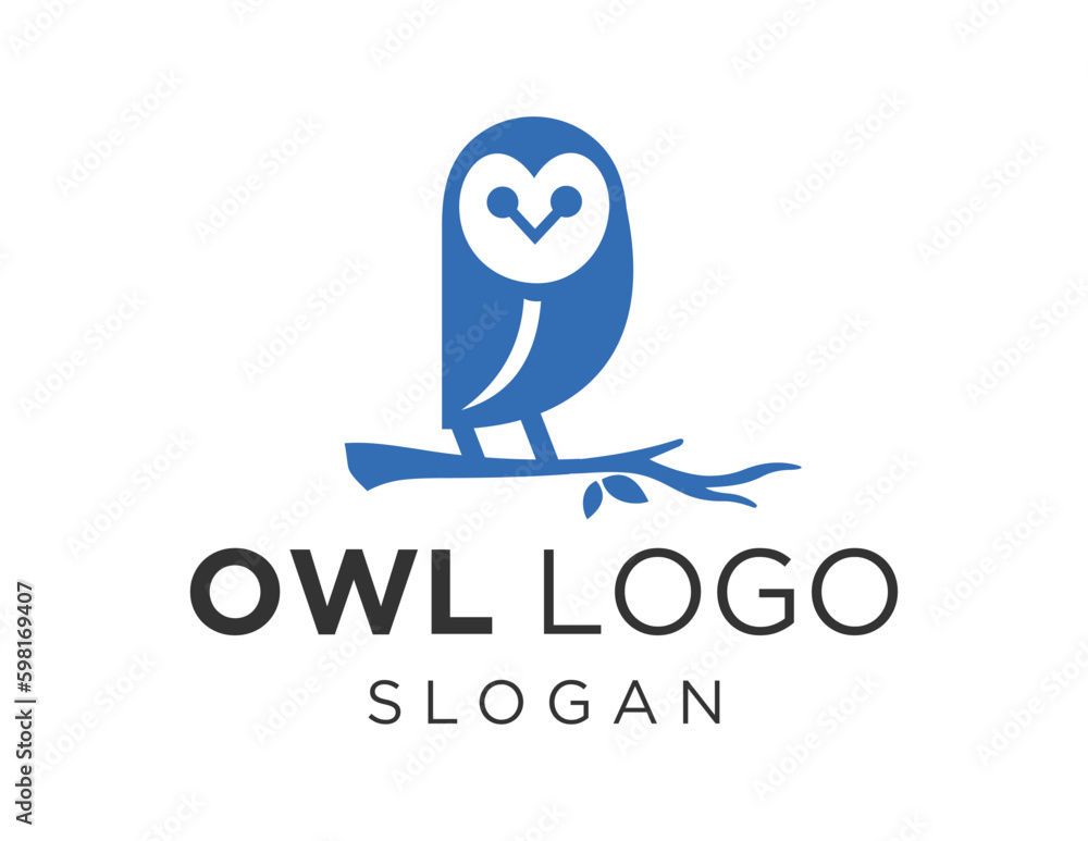 Poster logo about owl on a white background. created using the coreldraw application.