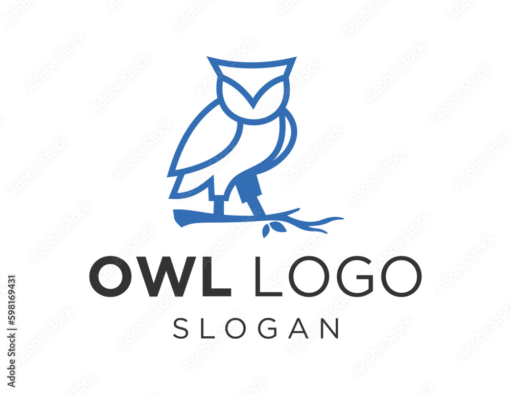 Poster logo about owl on a white background. created using the coreldraw application.