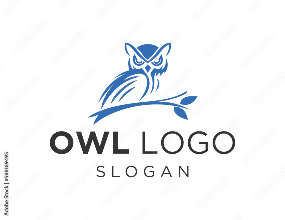 Poster logo about owl on a white background. created using the coreldraw application.