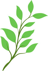 floral leaves, floral leaf, design, nature, summer, illustration, vector, spring, foliage